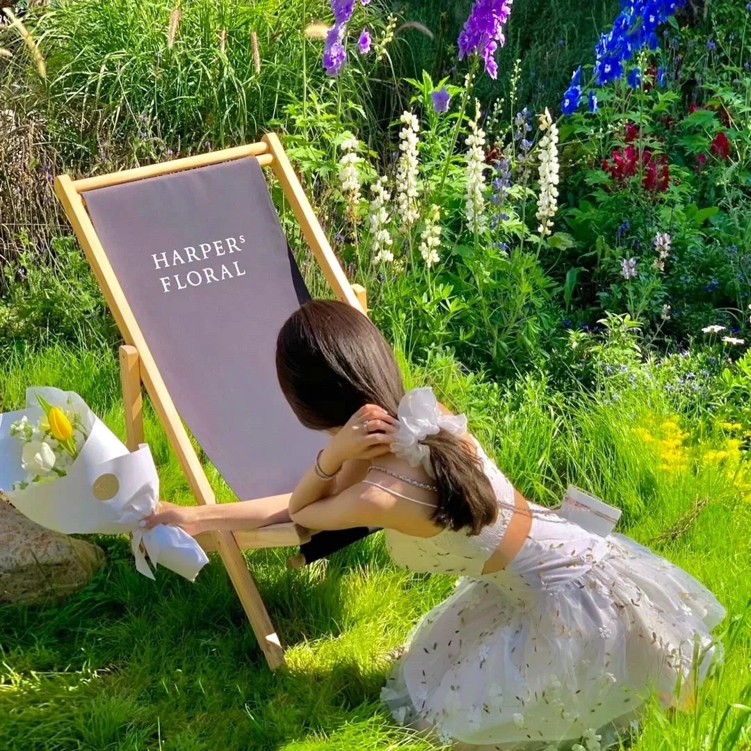 来自亚塞诺瓦茨的达拉